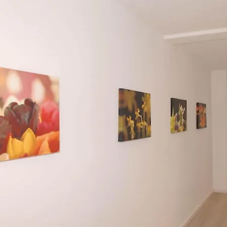 Apartamento House Flora, Golden Knoepke *